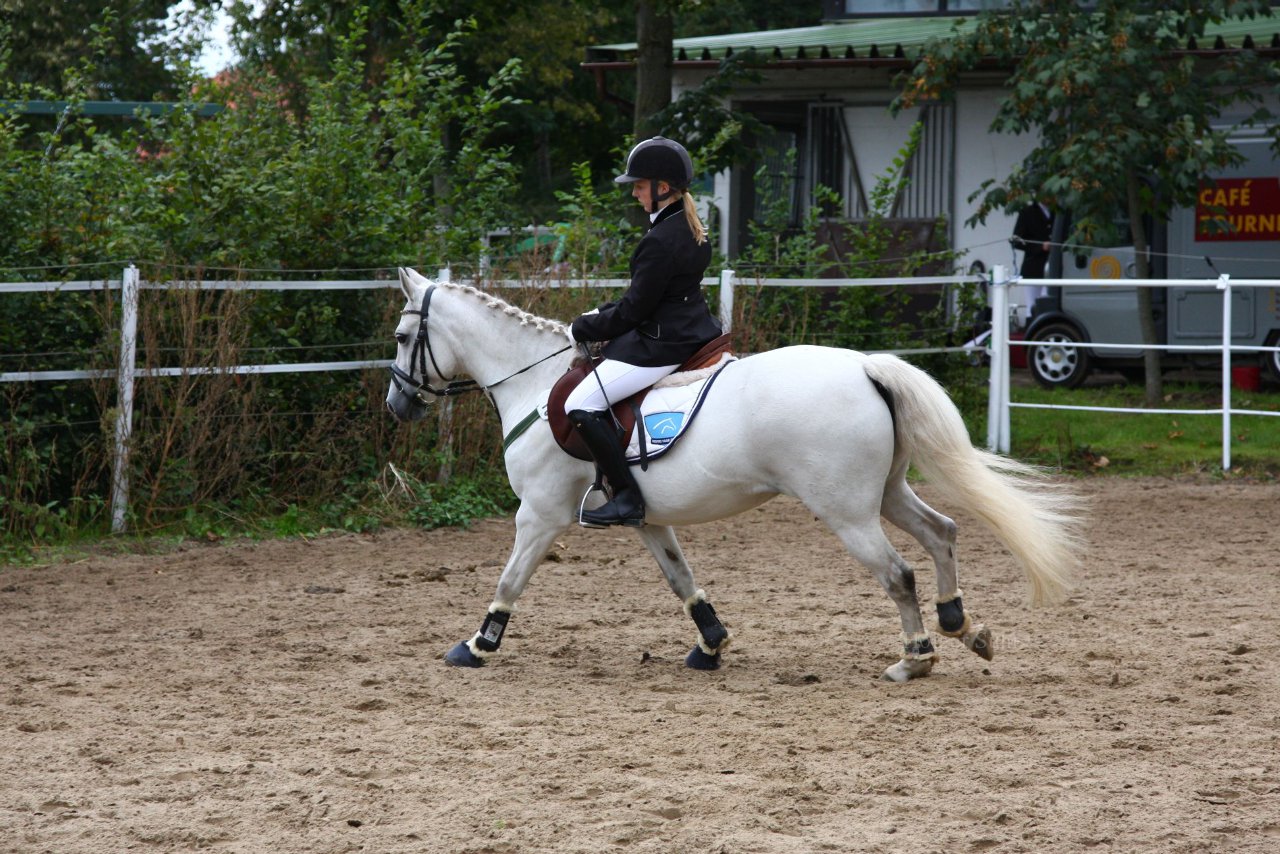 Bild 1194 - WBO-Turnier am 18.9.11